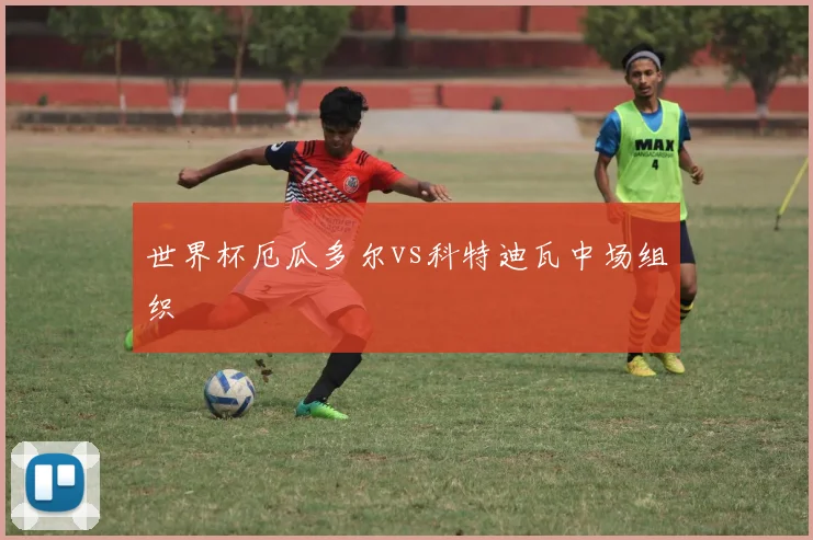 世界杯厄瓜多尔vs科特迪瓦中场组织