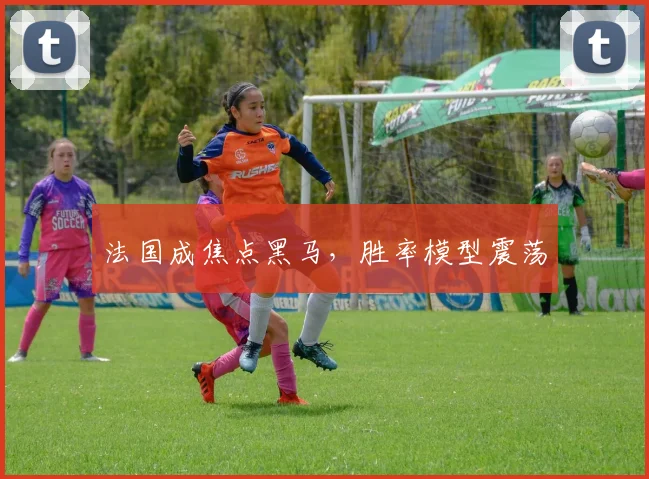 法国成焦点黑马，胜率模型震荡