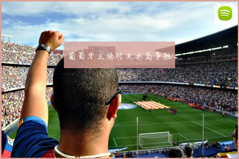 葡萄牙主场对决冰岛争胜