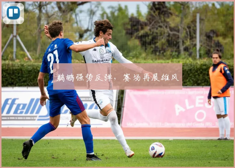 鹈鹕强势反弹，赛场再展雄风