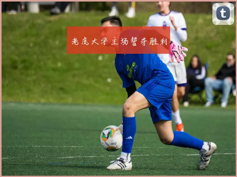 老虎大学主场誓夺胜利