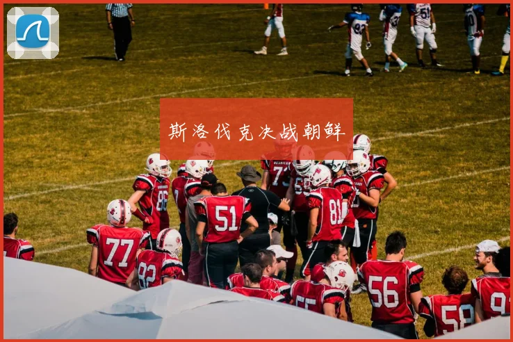 斯洛伐克决战朝鲜