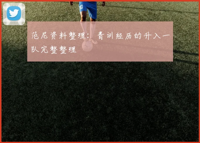 范尼资料整理：青训经历的升入一队完整整理