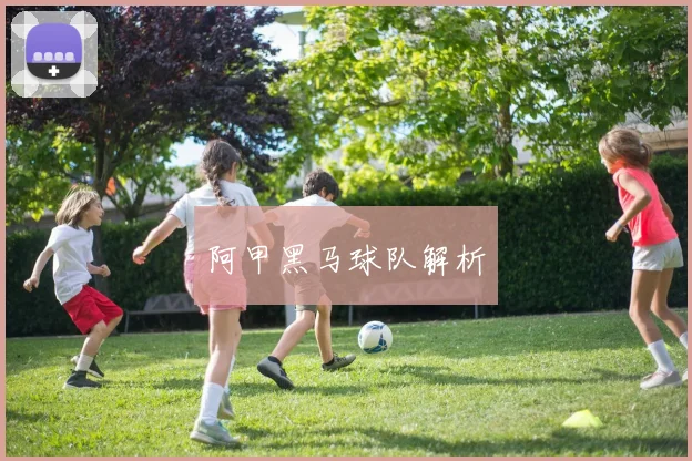阿甲黑马球队解析
