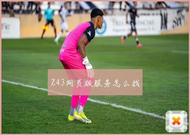 Z43网页版服务怎么找