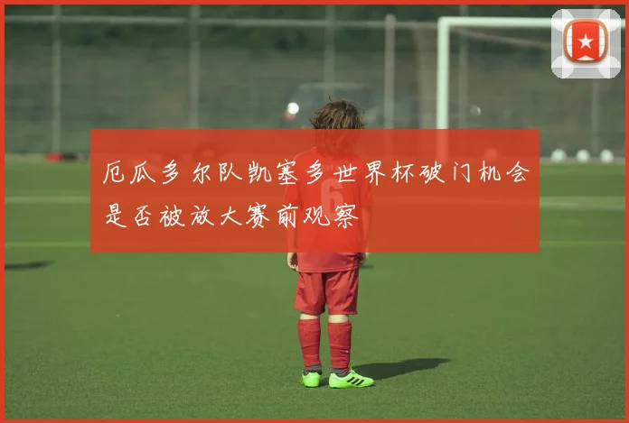 厄瓜多尔队凯塞多世界杯破门机会是否被放大赛前观察