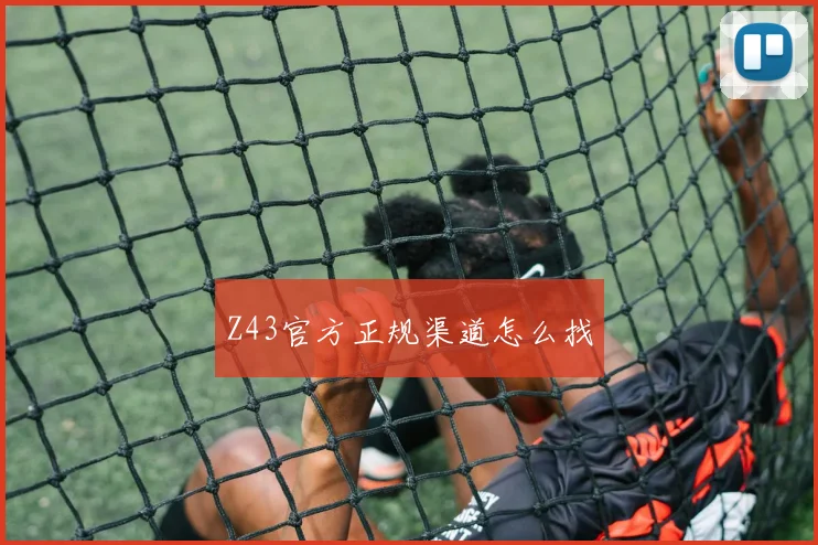 Z43官方正规渠道怎么找